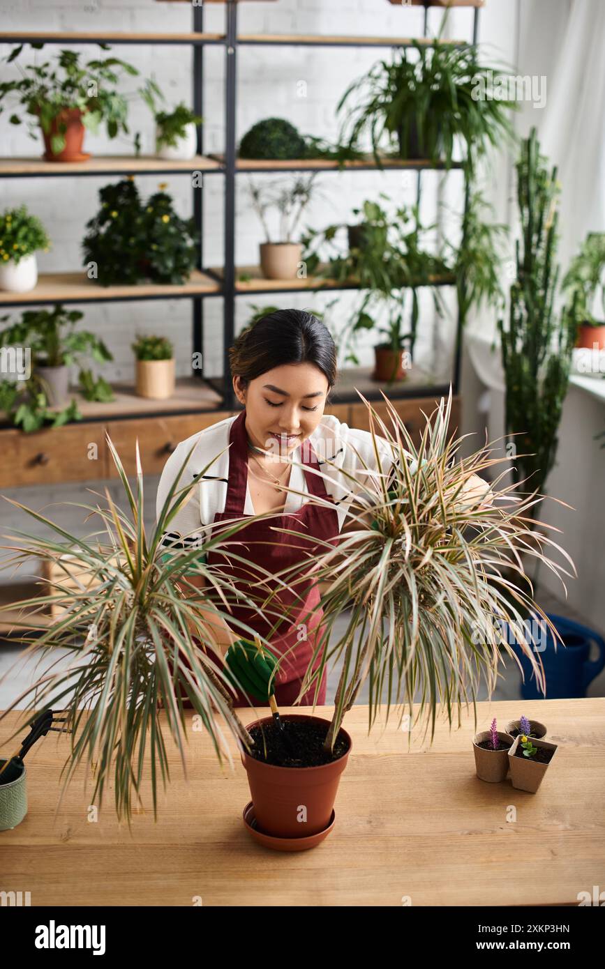 Una giovane donna asiatica in un grembiule lavora nel suo negozio di piante, curando il verde. Foto Stock