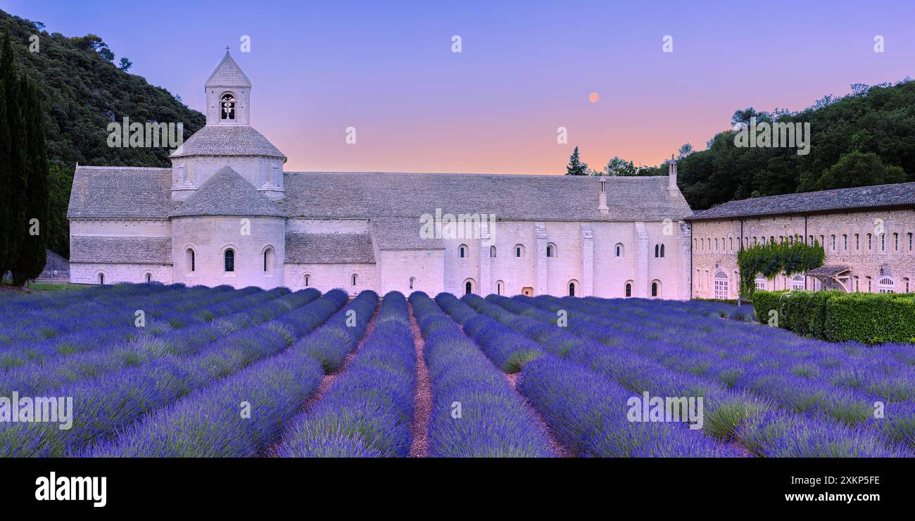 È la fine di giugno. Un'immagine panoramica di 2:1, l'alba e una lunetta piena, e la lavanda è in fiore presso l'Abbazia di Sénanque (l'Abbaye Notre-Dame de) Foto Stock