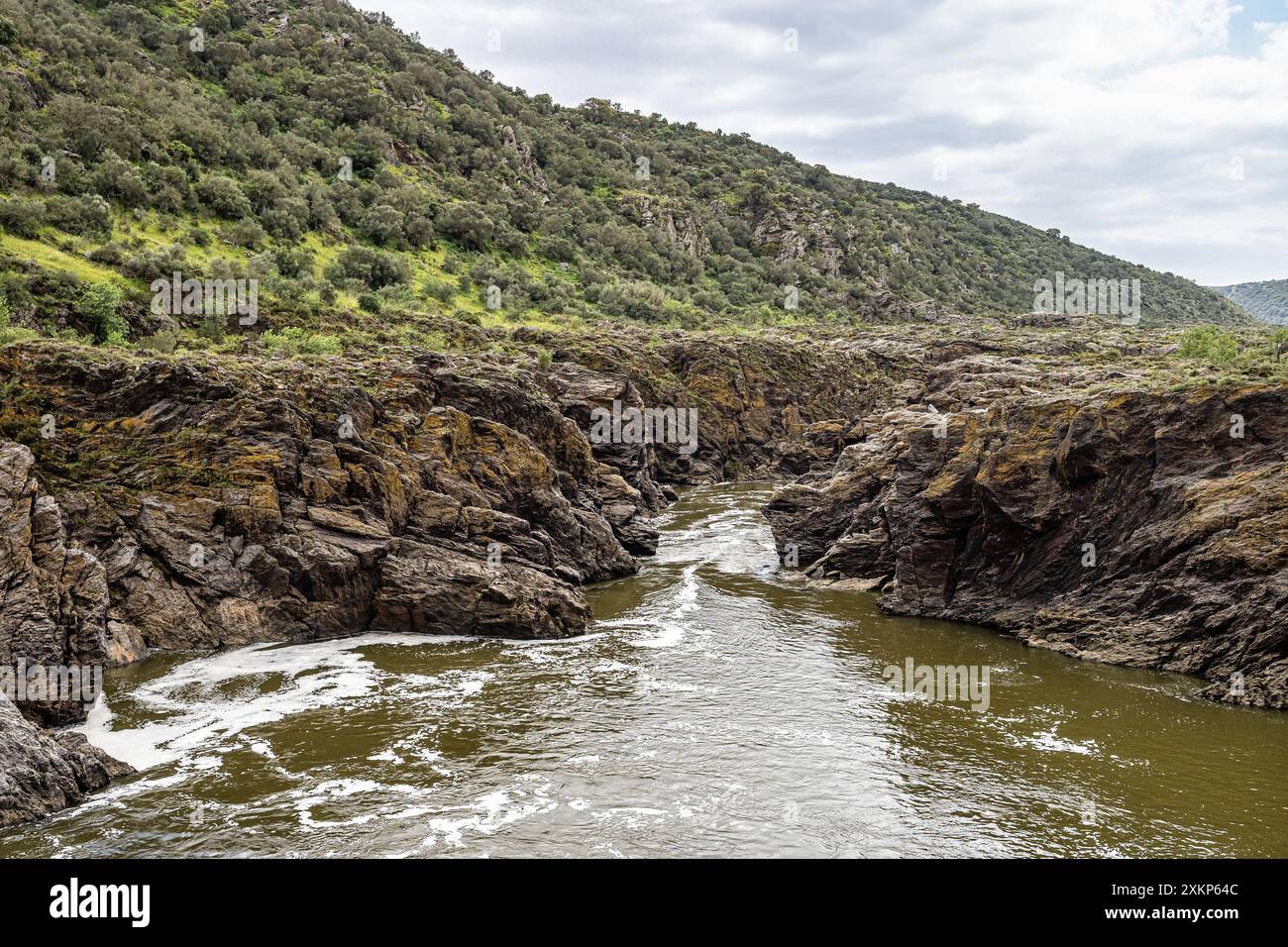 Canyon, rapide e cascate del fiume Guadiana a Mertola, Portogallo, nel sito naturale noto come il salto del lupo, Pulo do Lobo. La Guadiana Foto Stock