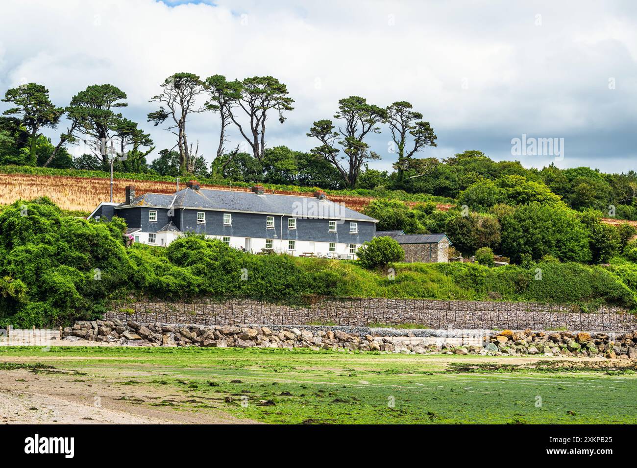 Casa sul fiume Emme e Red Cove, Mothecombe, Plymouth, South Devon, Inghilterra, Europa Foto Stock