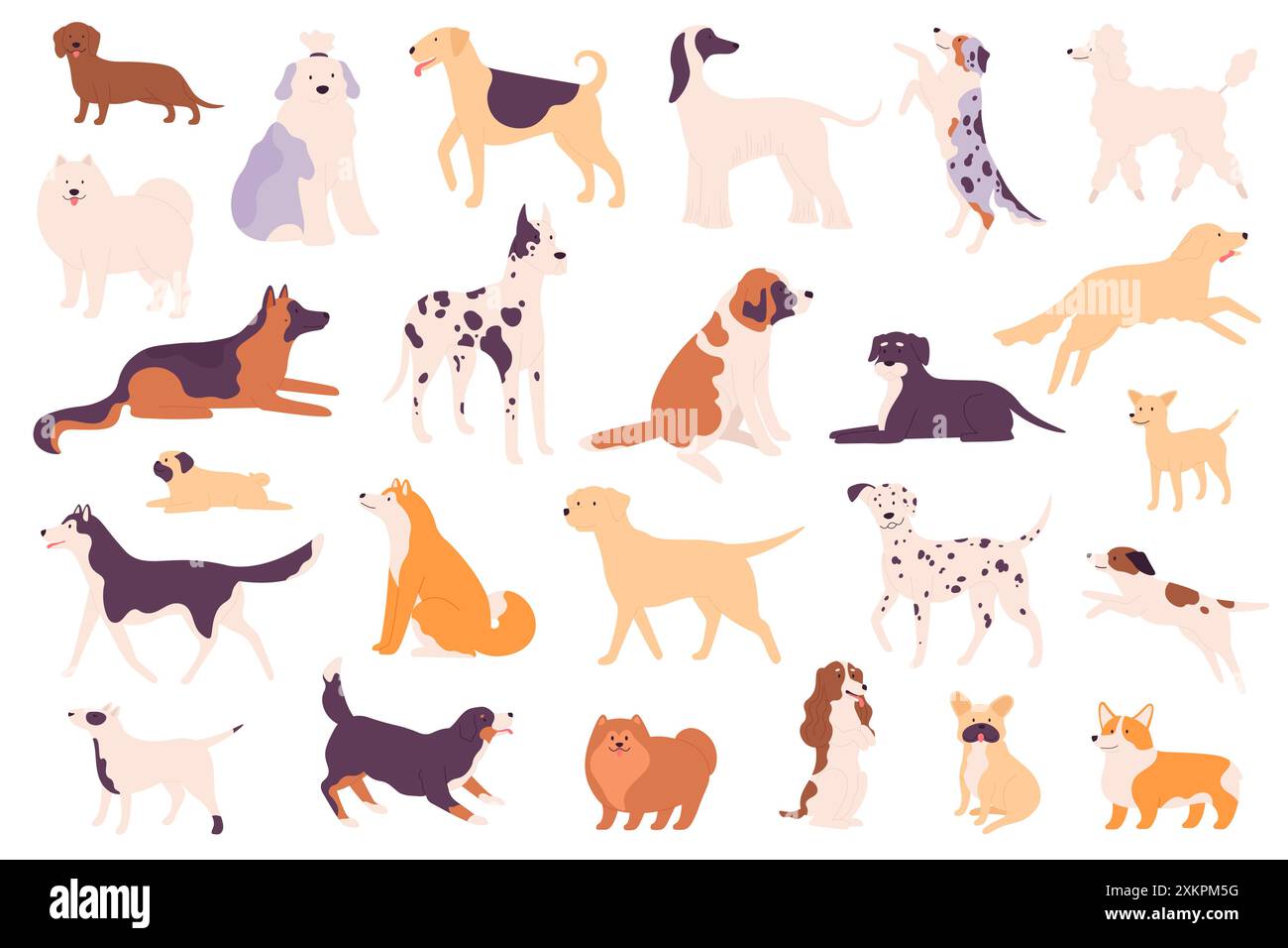 Cani semplici. Diverse razze di cani tra cui Shiba Inu, Poodle and Bulldog, Shih Tzu e Chow Chow, Dachshund e Wiener, Pastore tedesco e. Illustrazione Vettoriale