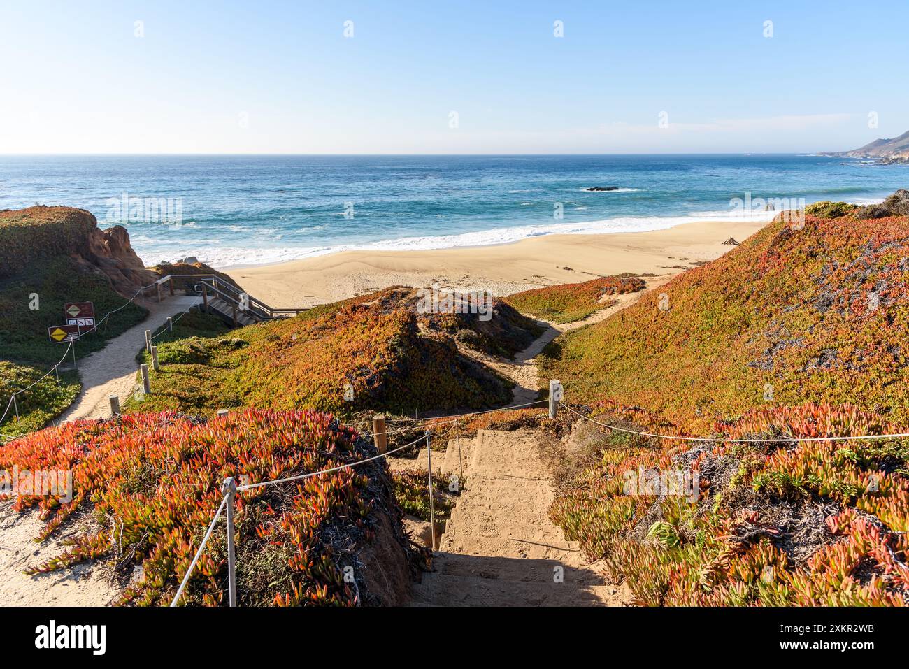 Scalinata in cima alla scogliera attraverso piante colorate che conducono a una spiaggia sabbiosa sulla costa della California in una soleggiata giornata autunnale Foto Stock