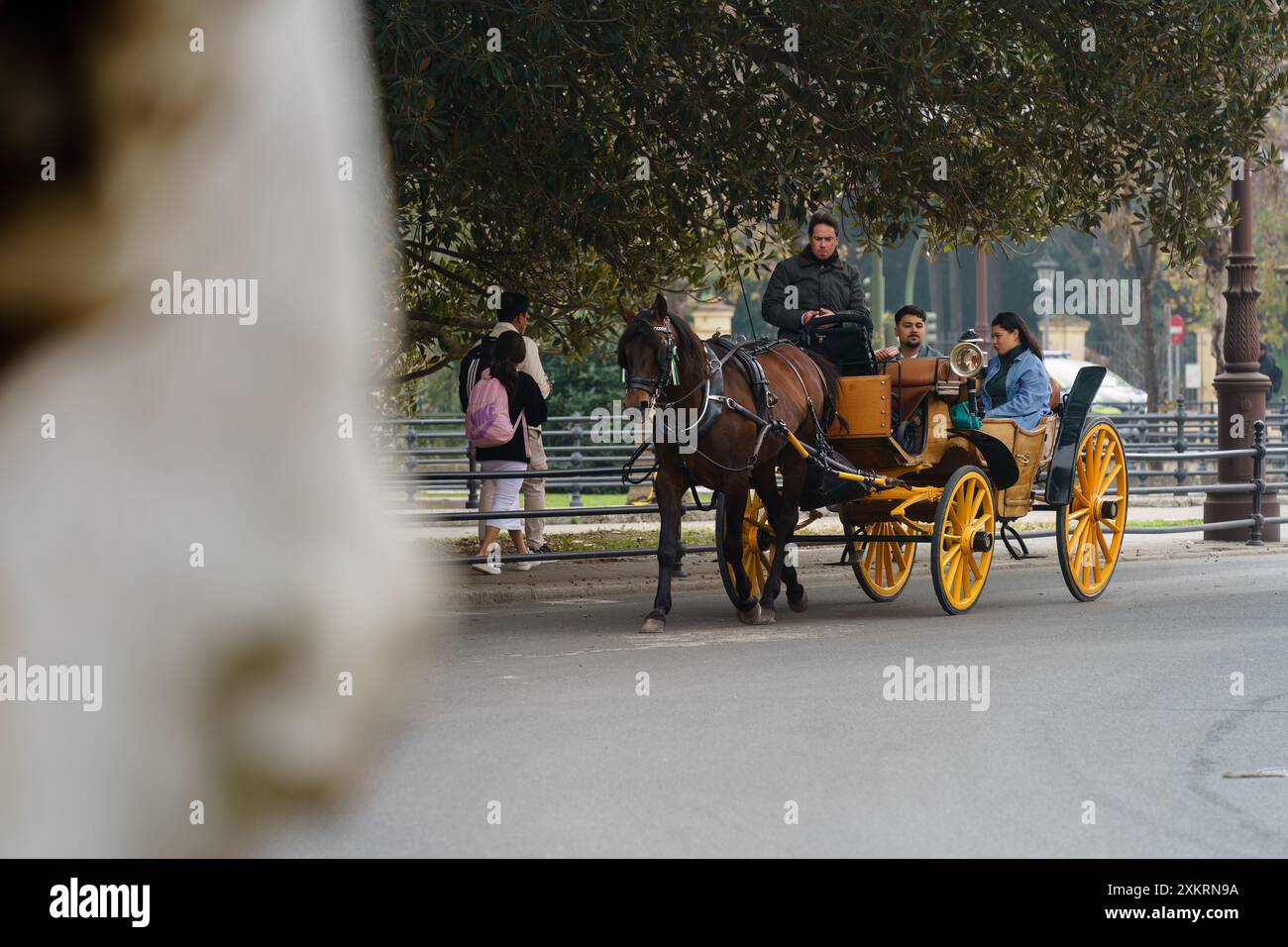 siviglia, Spagna. 7 febbraio 2024 - carrozza trainata da cavalli per le strade Foto Stock