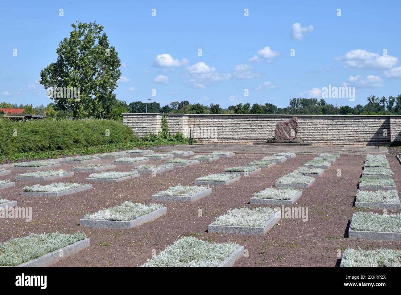 19.07.2024 Gedenkstätte Deutschland/ Sachsen Anhalt/ Altmark/ Bördekreis/ Stadt Oebisfelde/ Ortsteil Buchhorst/ Gedenkstätte/ Ehrenfriedhof/ zum Ende des II. Weltkriegs kamen KZ Häftlinge die in einem Eisenbahnwagon eingesperrt waren auf dem Buchhorster Bahnhof ums Leben/ ***Nutzung nur nur Bördekreis sito ufficiale della città di Antzung 11* Altmark 2024 * sito della città di Sassonia * Altmark 11 cimitero commemorativo del distretto di Buchhorst alla fine della seconda guerra mondiale, i prigionieri dei campi di concentramento che erano rinchiusi in una carrozza ferroviaria morirono alla stazione di Buchhorst solo per scopi editoriali Foto Stock