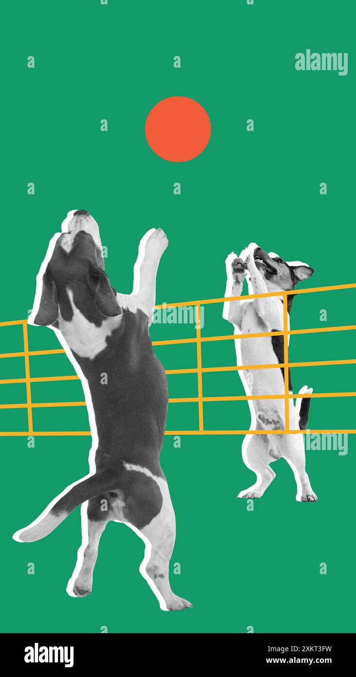 Due cani di razza pura giocano allegramente a Beach volley su sfondo verde. Collage d'arte contemporanea. Foto Stock
