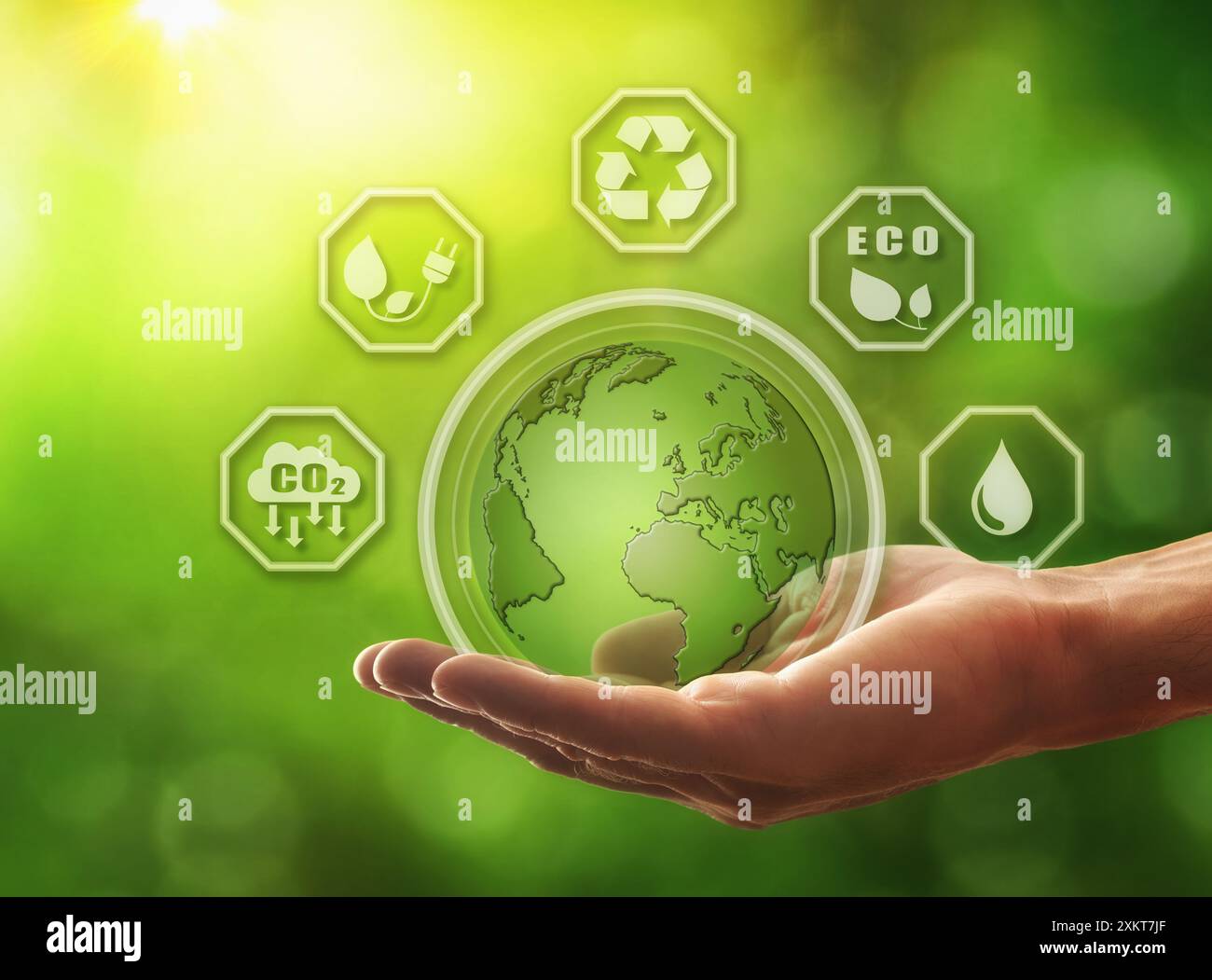 Il concetto di conservazione e protezione del pianeta con la mano che tiene il pianeta e gli ottagoni sono simboli per esso su uno sfondo verde. Foto Stock