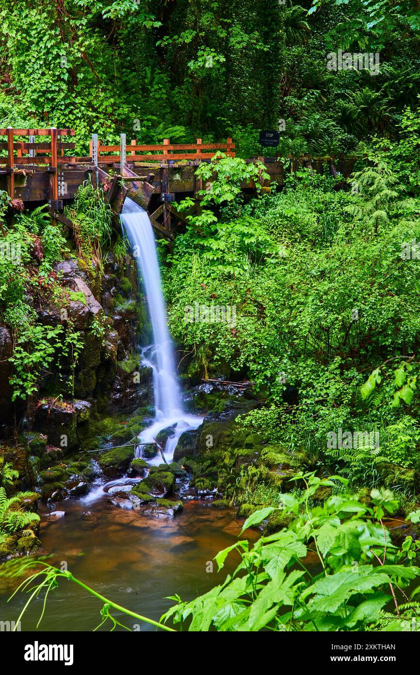 Cedar Creek Grist Mill Waterfall con lussureggianti dintorni della foresta Foto Stock