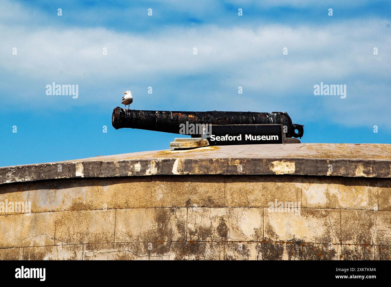 Il gabbiano si riposa sul martello Cannon in cima al Seaford Museum Foto Stock