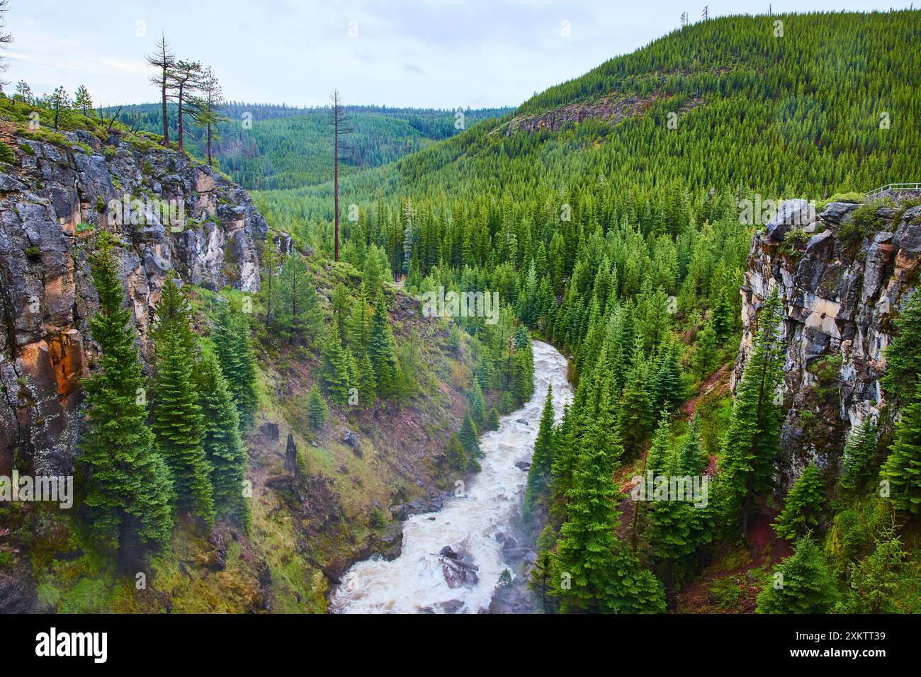 Veduta aerea delle Cascate di Tumalo e della Gola del fiume nella Foresta Nazionale di Deschutes Foto Stock