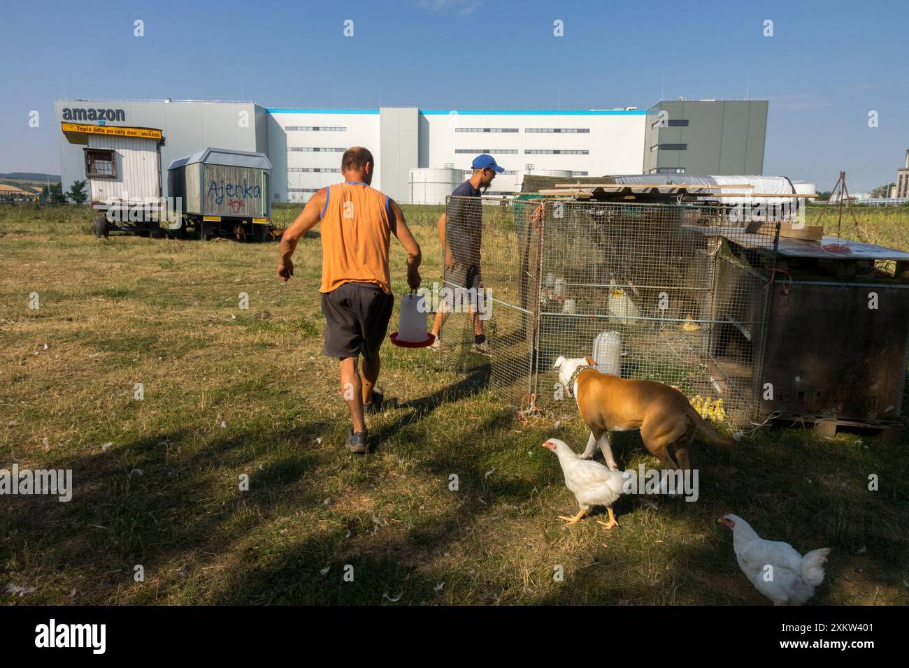 Due uomini che si occupano di polli e un cane in una zona rurale vicino a un magazzino amazzonico in una giornata di sole Foto Stock