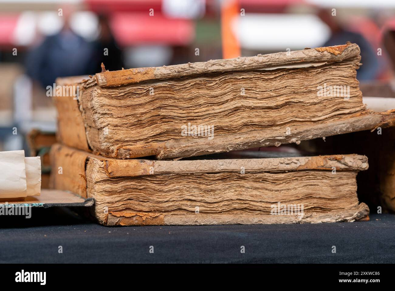 I libri in una bancarella di mercato alla fiera annuale del libro di Dordrecht offrono una selezione diversificata di generi e autori, attirando lettori e collezionisti accaniti Foto Stock
