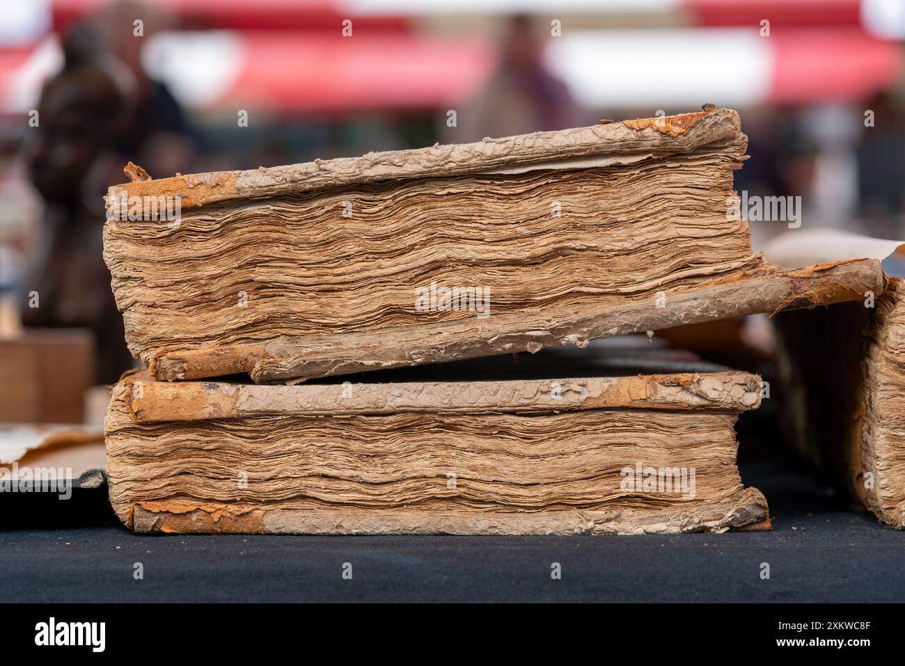 I libri in una bancarella di mercato alla fiera annuale del libro di Dordrecht offrono una selezione diversificata di generi e autori, attirando lettori e collezionisti accaniti Foto Stock