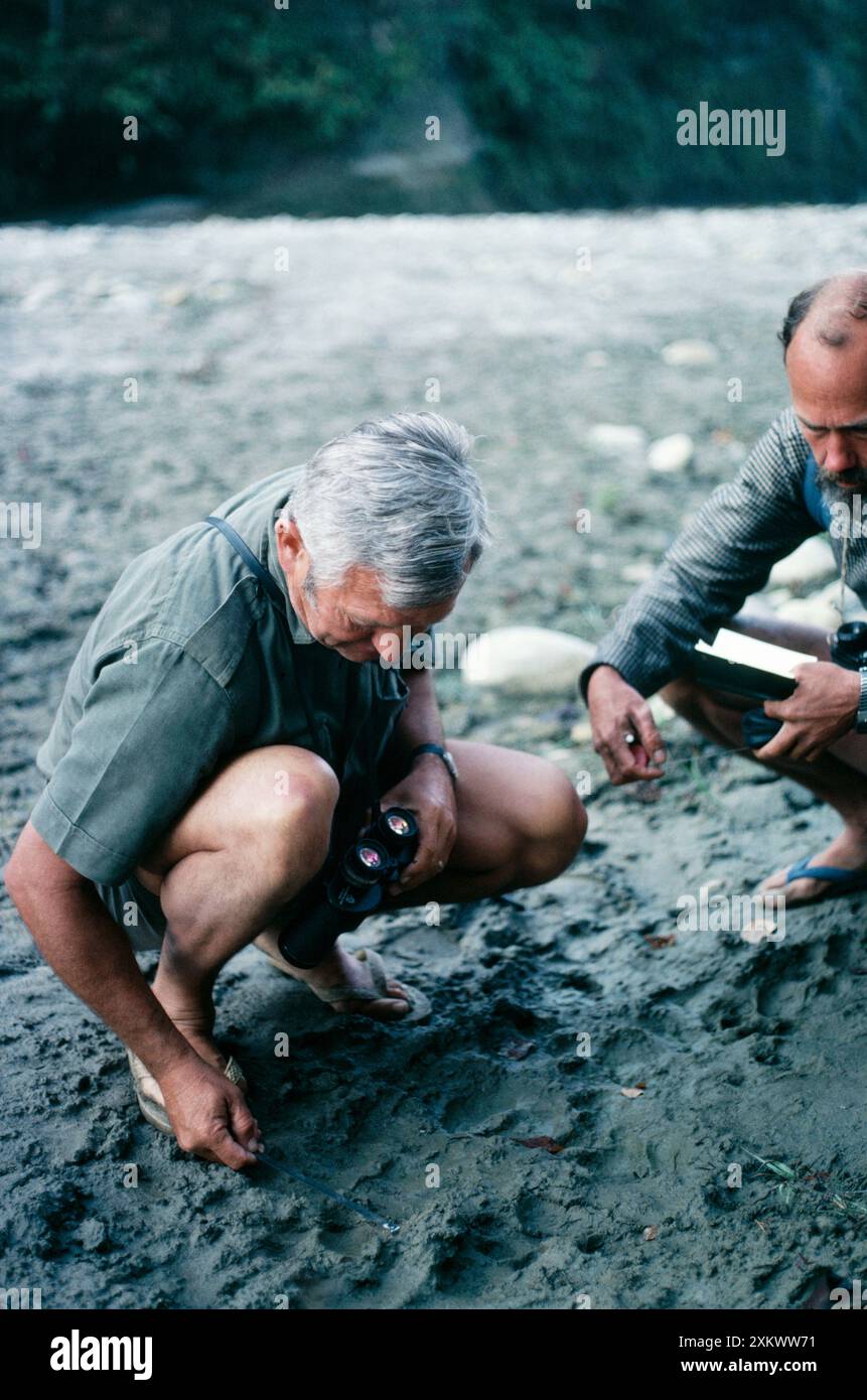 Tiger Tracks - Charles McDougal misura zampa-stampa Foto Stock