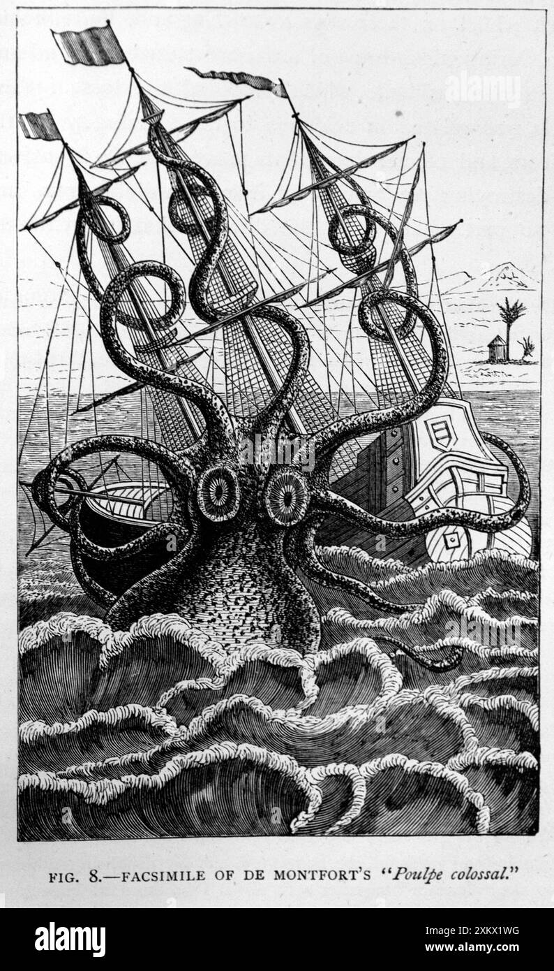 Illustrazione in bianco e nero: Giant Squid - storico Foto Stock