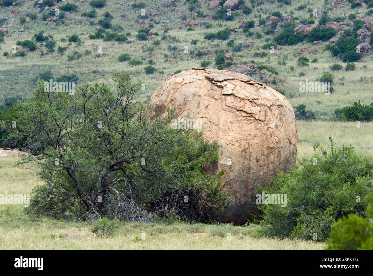 Boulder che mostra l'esfoliazione della pelle di cipolla Foto Stock