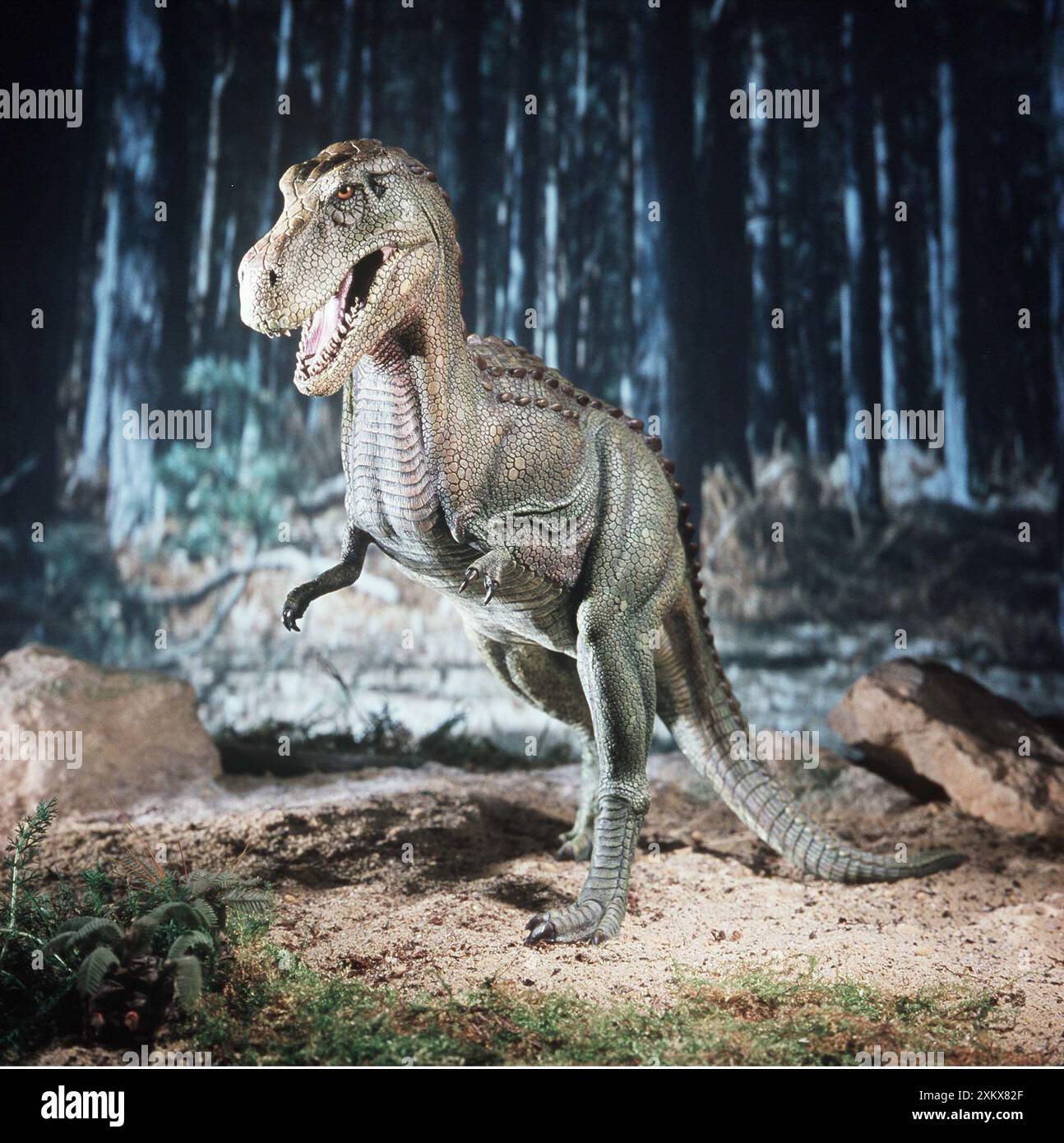 Ricostruzione preistorica - Tyrannosaurus Rex nella foresta Foto Stock