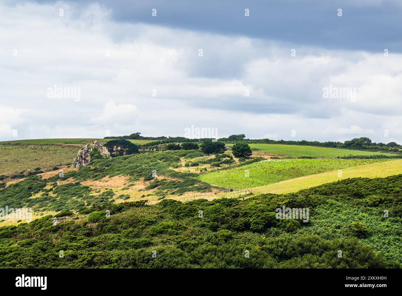 Rocks over Fields and Farms on S W Coast Path, Plymouth, South Devon, Inghilterra, Europa Foto Stock
