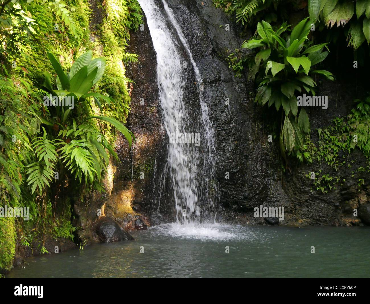 Piscina blu e cascata tropicale nella giungla della guadalupa, cascata de bis, rosa di Sainte Foto Stock