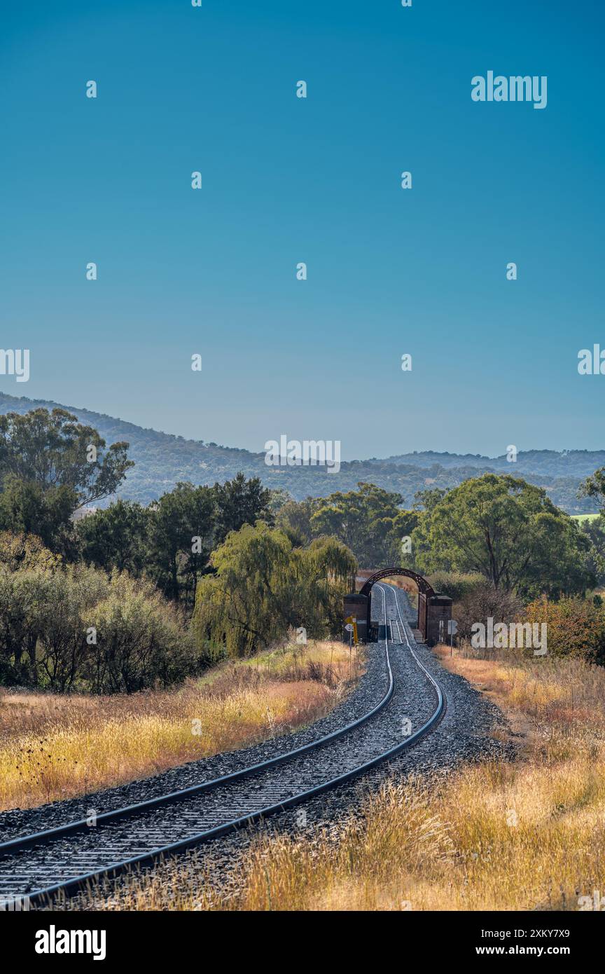 Una serie di linee ferroviarie rivestite in erba conduce lo spettatore a un'arcata su un ponte su un fiume alberato nella piccola città di Woolbrook nel nuovo Galles del Sud. Foto Stock