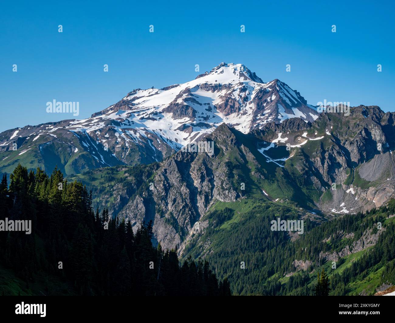 WA25539-00...WASHINGTON - Glacier Peak visto dal PCT sotto Red Pass, Glacier Peak Wilderness. Foto Stock
