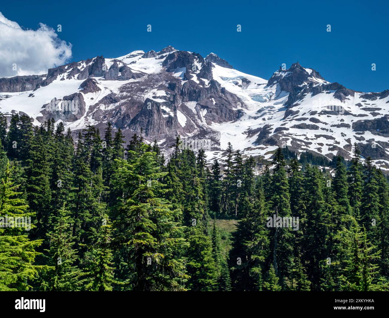 WA25543-00...WASHINGTON - Glacier Peak visto dal Pacific Crest Trail nella Foresta Nazionale del Monte Baker Snoqaulmie. Foto Stock