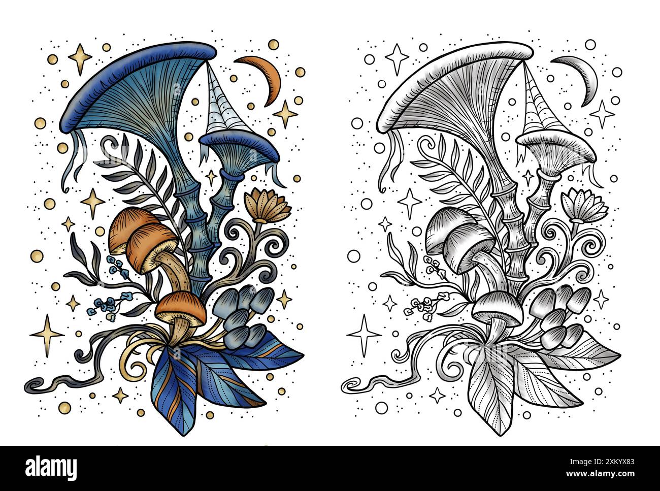 Funghi mistici celesti con elementi decorativi magici e floreali, ragnatela, simboli di stregoneria isolati sul bianco. Oggetti esoterici e spiritosi, t Foto Stock