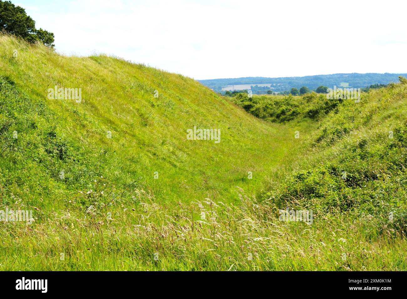 Primo piano del fosso e delle terrapieni presso il forte collinare dell'età del ferro a Badbury Rings, Dorset - John Gollop Foto Stock