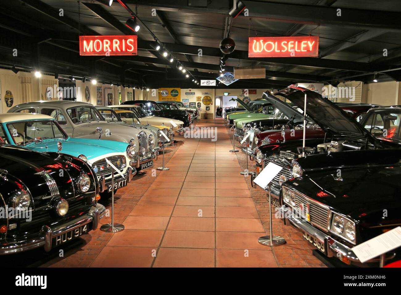 Auto britanniche degli anni '1950 e '1960, Memory Lane, Haynes International Motor Museum, Sparkford, Yeovil, Somerset, Inghilterra, gran Bretagna, Regno Unito, Europa Foto Stock