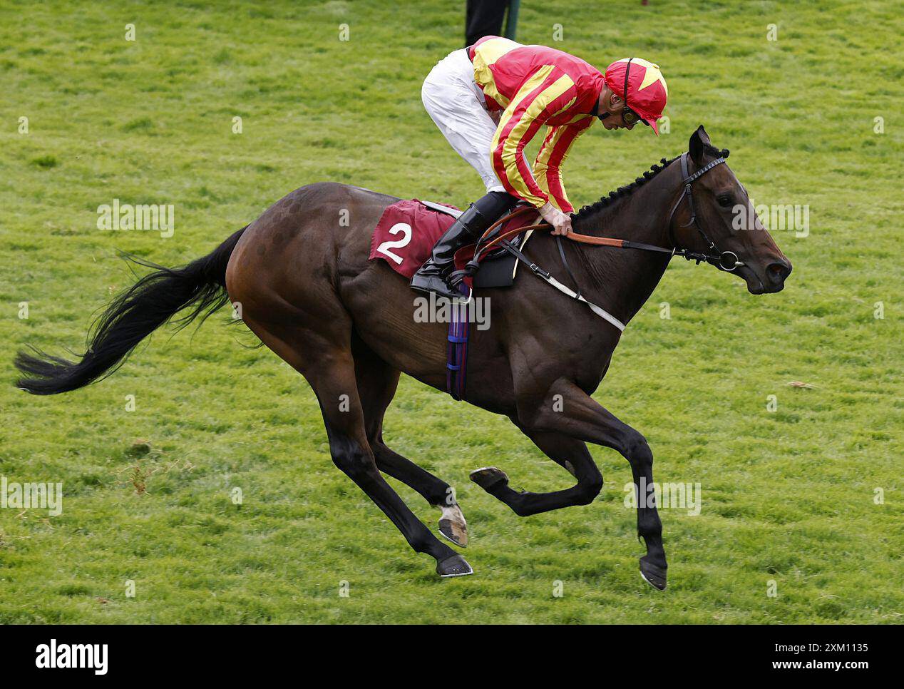 Foto datata 21-05-2022 di Lil Guff, una mancia per il 2,10 di Sandown. Data di pubblicazione: Giovedì 25 luglio 2024. Foto Stock