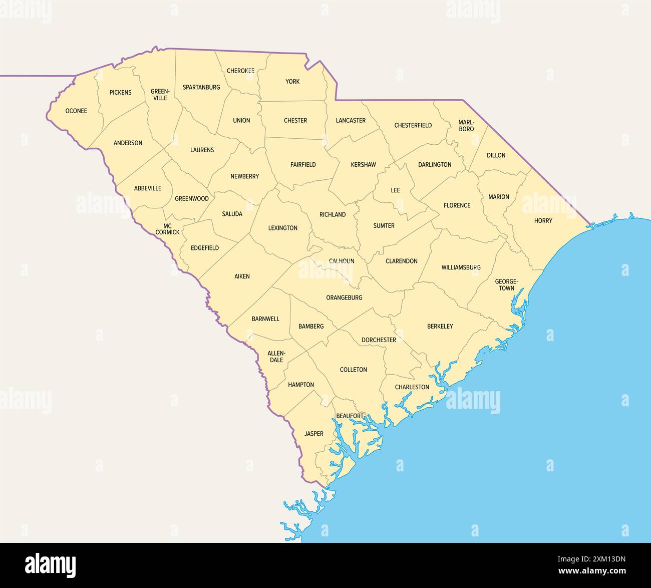 Contee della Carolina del Sud, mappa politica con i confini e i nomi delle contee. Stato nella regione sud-orientale degli Stati Uniti, suddiviso in 46 contee. Foto Stock