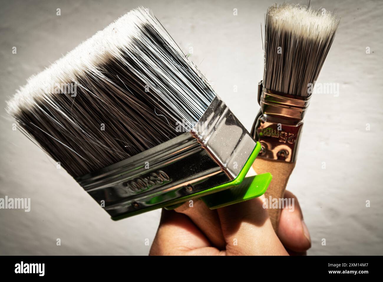 Primo piano di una persona con due pennelli, uno grande e uno piccolo. Ideale per mostrare strumenti per il miglioramento della casa, artigianato, pittura e fai da te Foto Stock