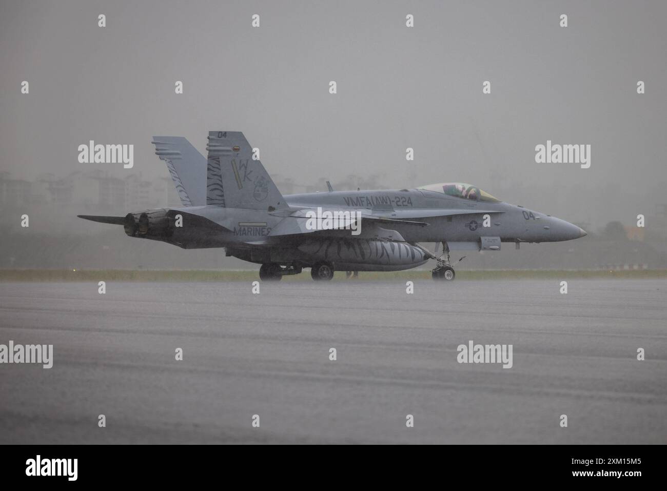 Un F/A-18C Hornet del corpo dei Marines degli Stati Uniti, con Marine All-Weather Fighter Attack Squadron (VMFA(AW)) 224, Marine Aircraft Group 31, 2nd Marine Airc Foto Stock