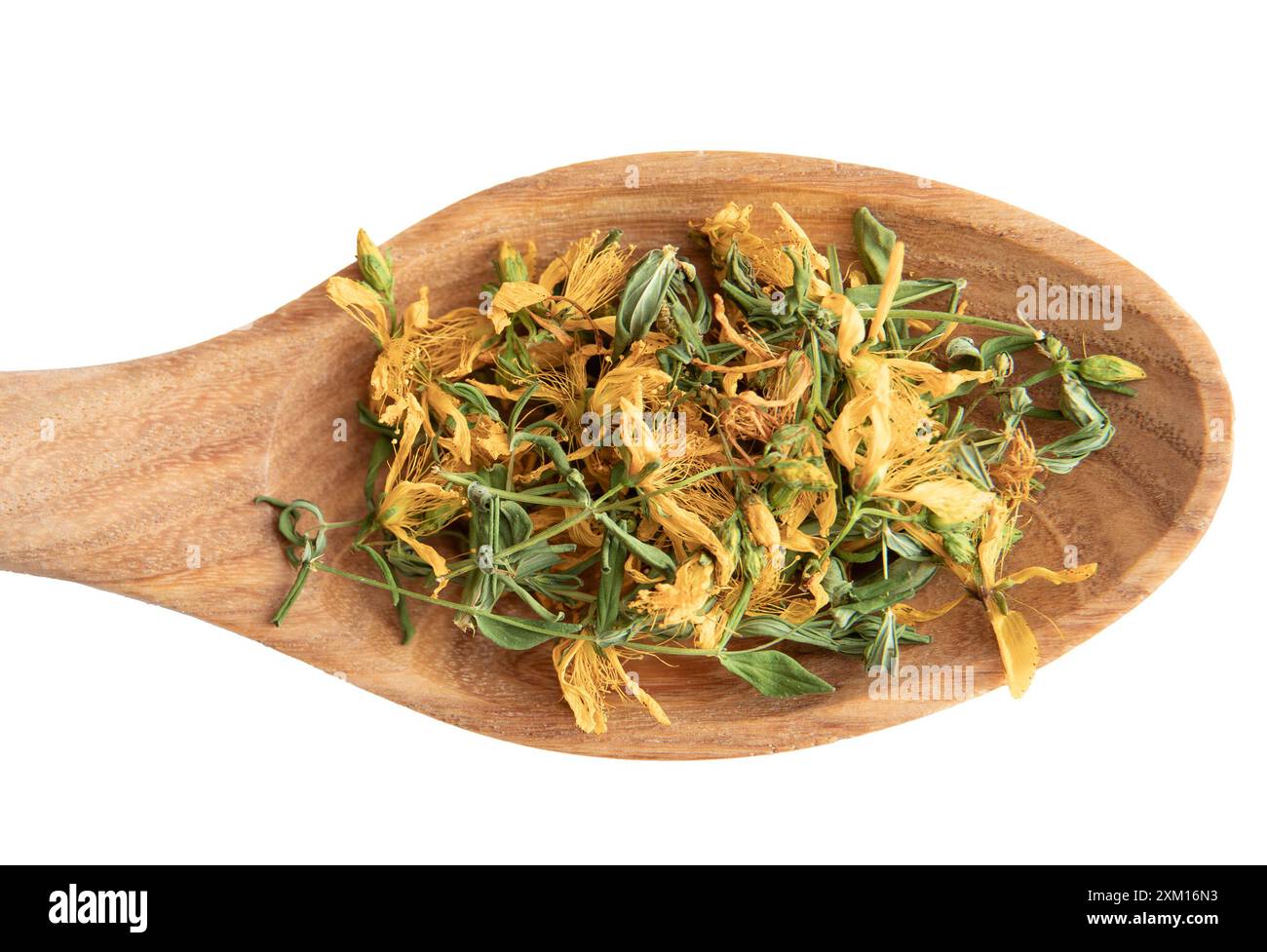 Hypericum perforatum essiccato noto come fiore di pianta di erba di San Giovanni perforato e foglia su cucchiaio di legno isolato su fondo bianco. Erboristeria. Foto Stock