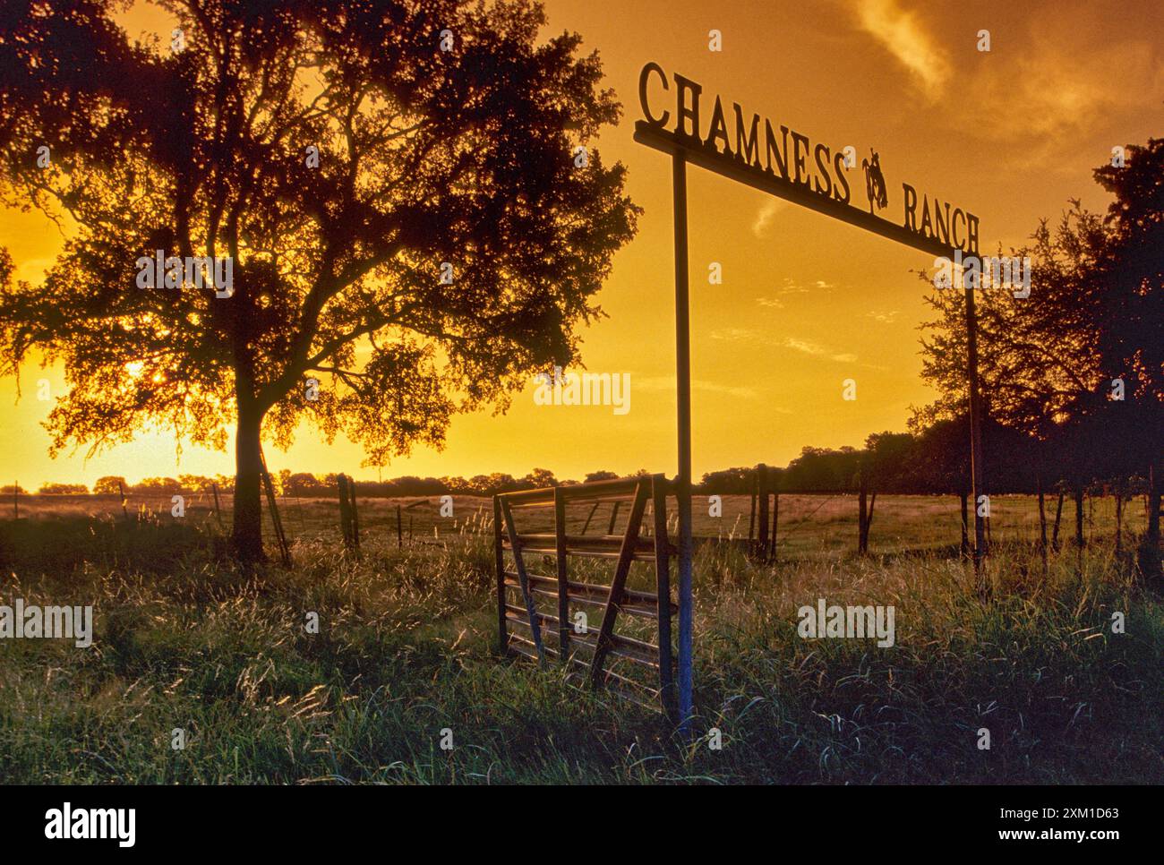 Insegna in ferro battuto al cancello del ranch all'alba sulla Hays County Road 198 nella Hill Country vicino a Henly, Texas, Stati Uniti Foto Stock