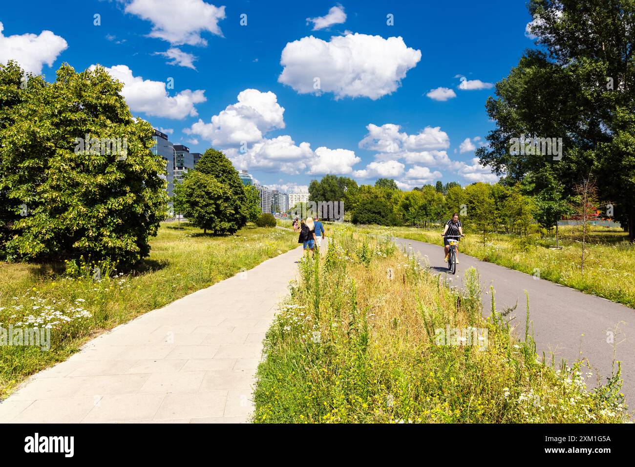 Prato di fiori selvatici piantato tra il percorso pedonale e ciclabile di una città (Park Pięciu Sióstr, Varsavia, Polonia) Foto Stock