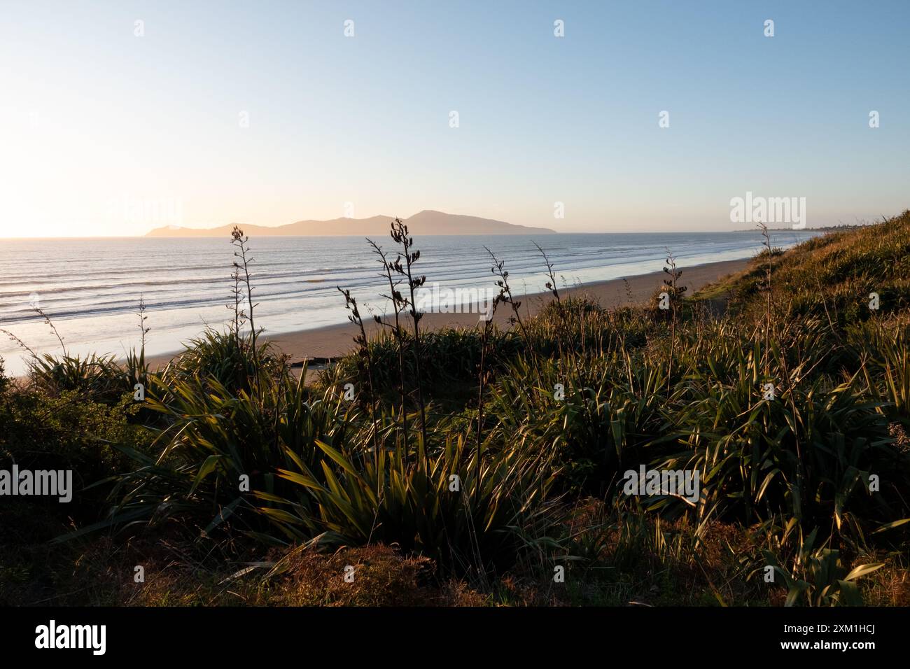 Vista dell'isola di Kapiti dal parco Queen Elizabeth a Kapiti, nuova Zelanda Foto Stock
