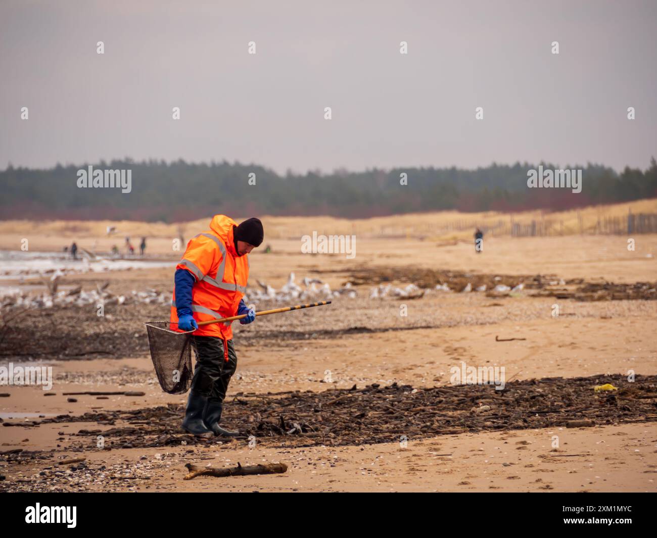 Gdańsk, Polonia - Feb, 2022: Cercatori d'ambra durante il tempo ventoso sulla costa del Mar Baltico. Danzica. Europa orientale. Foto Stock