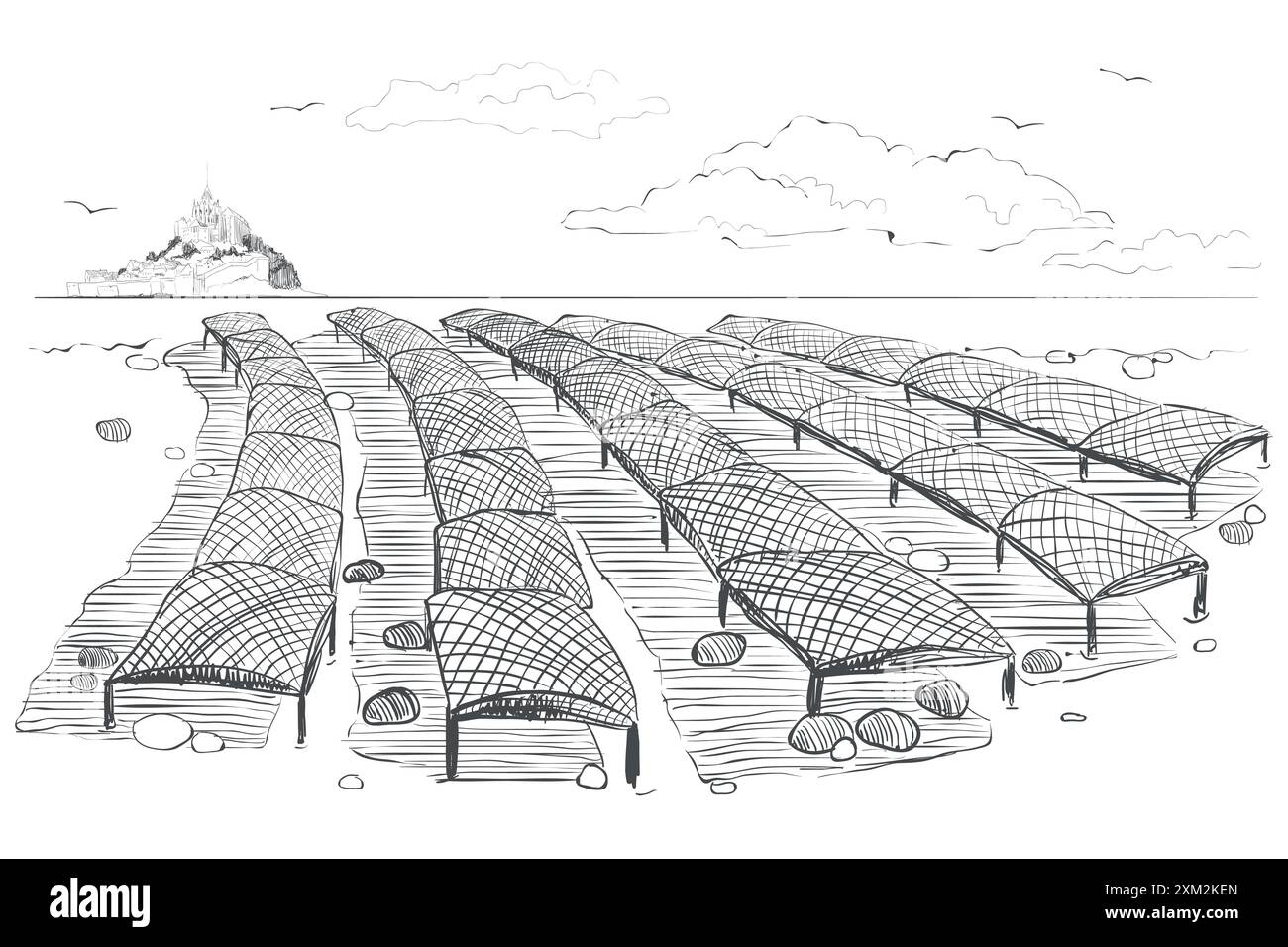 Allevamento di molluschi. Un'illustrazione del metodo normanno di coltivazione delle ostriche. Grafica vettoriale di un allevamento di ostriche nella baia di San Miguel. Disegno vintage in e Illustrazione Vettoriale