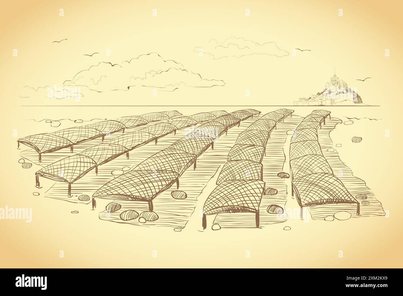 Molluschicoltura. Illustrazione del metodo normanno di coltivazione delle ostriche. Grafica vettoriale di un allevamento di ostriche nella baia di San Miguel. Disegno vintage nella S Illustrazione Vettoriale