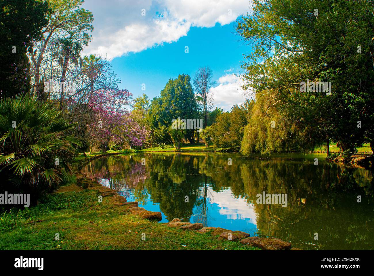 Italia, i giardini inglesi della Reggia di Caserta, un luogo pieno di piante rare Foto Stock