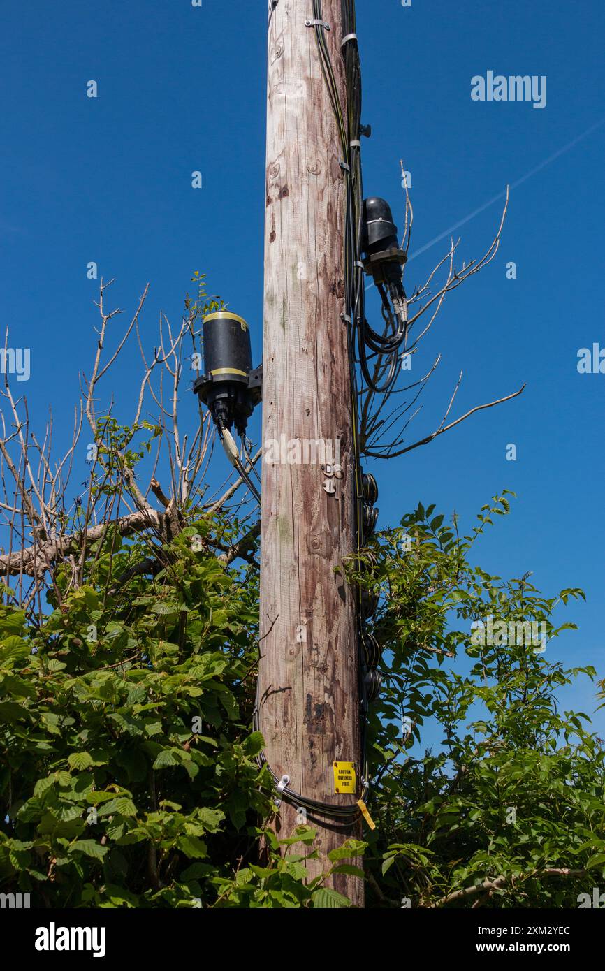 Segnale del cavo dati Internet a fibra ottica sospeso sul palo Portfield Gate, Pembrokeshire, Galles, Regno Unito Foto Stock