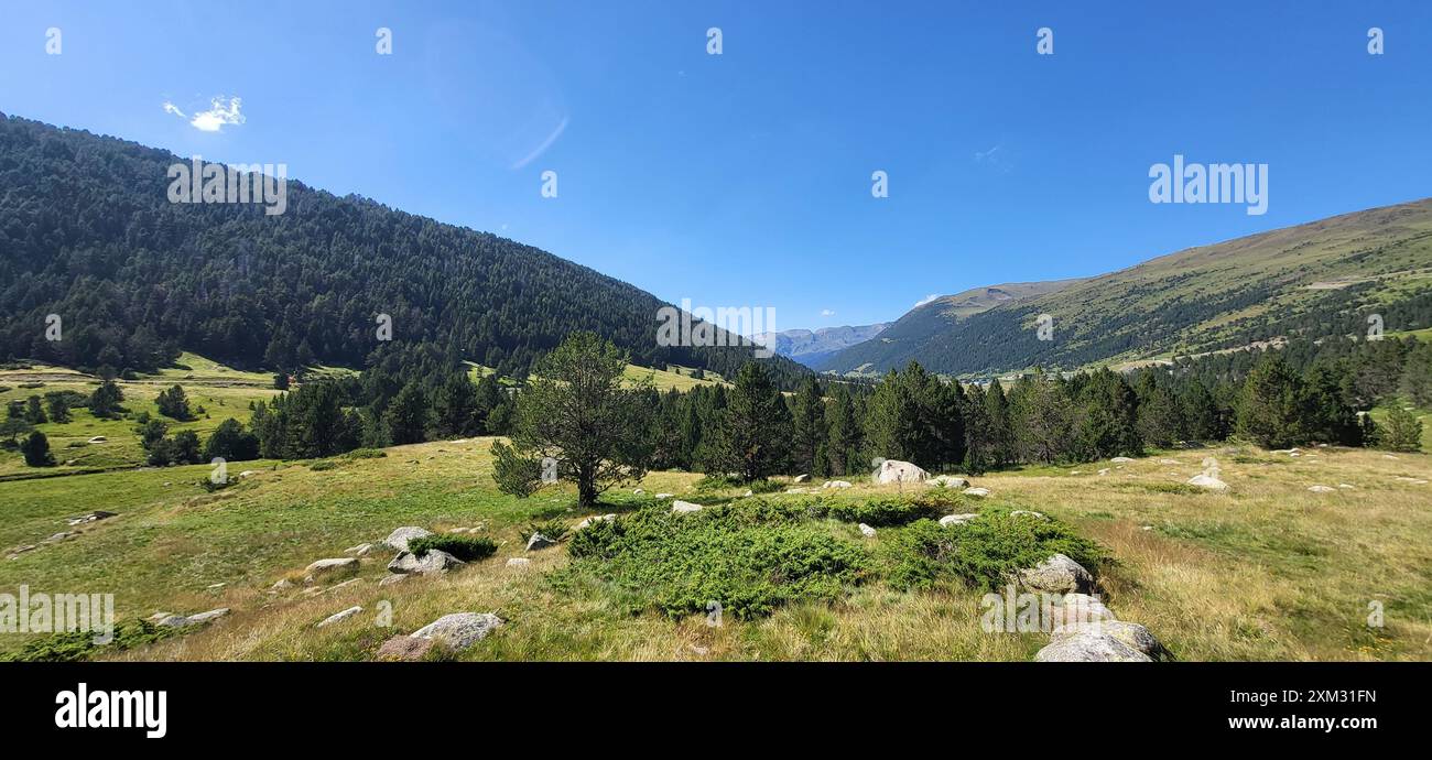 Uno splendido prato di montagna bagnato dalla luce del sole sotto un cielo azzurro. La vegetazione lussureggiante, le rocce sparse e le colline lontane creano un paesaggio tranquillo Foto Stock