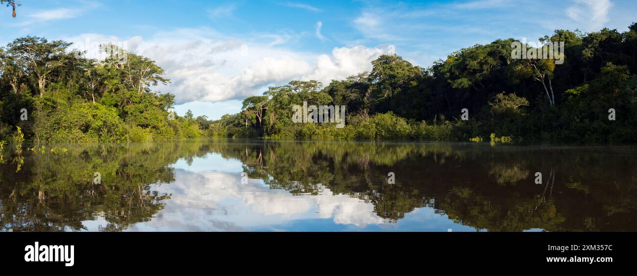 Vista panoramica della laguna Coati vicino al fiume Javari, tributario del fiume Rio delle Amazzoni, Amazonia. Selva sul confine del Brasile e Perù. Sud Ameri Foto Stock