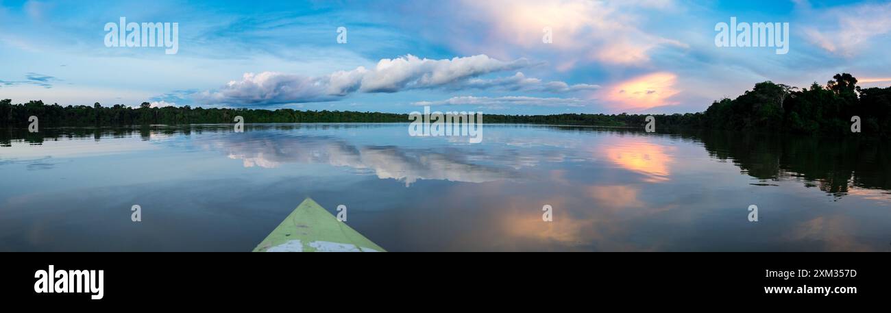 Amazonia. Panoramica, vista tramonto visto dal kayak. Coati laguna vicino il fiume Javari, tributario del fiume Rio delle Amazzoni. Selva sul confine di Br Foto Stock