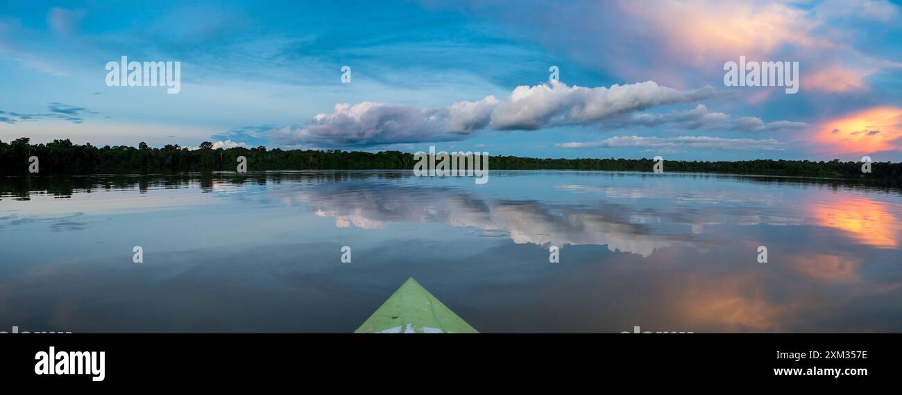 Amazonia. Panoramica, vista tramonto visto dal kayak. Coati laguna vicino il fiume Javari, tributario del fiume Rio delle Amazzoni. Selva sul confine di Br Foto Stock