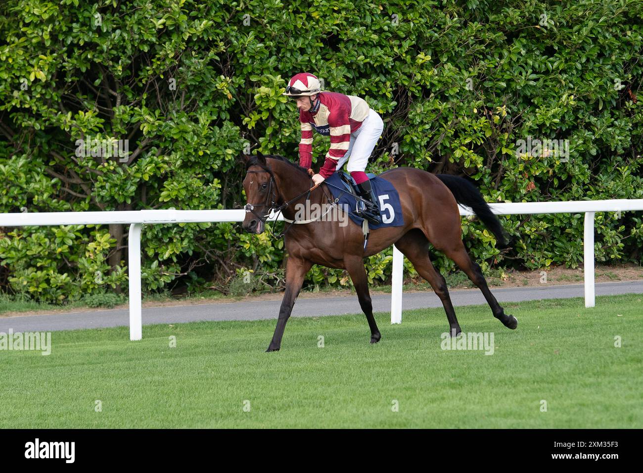 Windsor, Berkshire, Regno Unito. 22 luglio 2024. Horse Ruff Justice guidato dal fantino Edward Greatrex si dirige lungo l'ippodromo prima di vincere le corse per disabili dell'app Download the Raceday Ready presso l'ippodromo Royal Windsor di Windsor, Berkshire. Proprietario Jim and Claire Limited, Trainer Warren GRetrex, Upper Lambourn, allevatore A H Bennett, Sponsor 1Account Ltd Crediti: Maureen McLean/Alamy Foto Stock