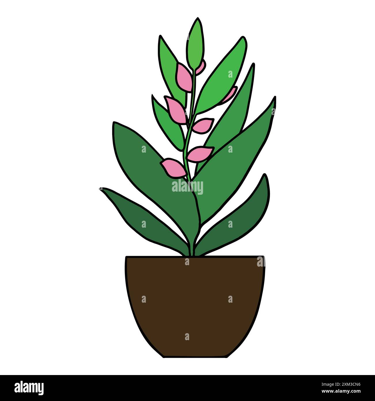 Bellissimo vaso di fiori con grandi foglie verdi e piccoli fiori rosa in vaso marrone Illustrazione Vettoriale