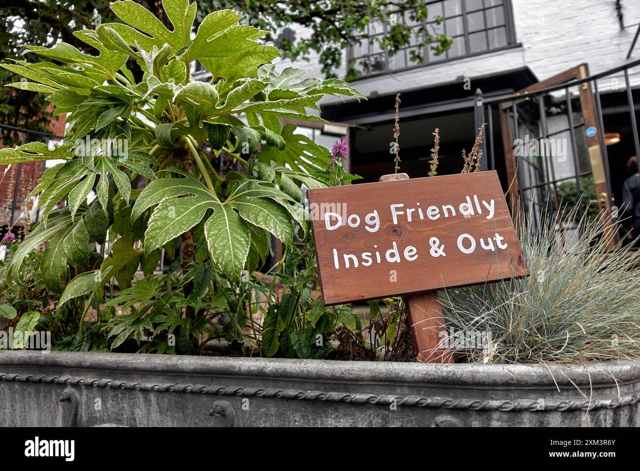Cartello per i cani al ristorante e pub Dirty Duck, Stratford Upon Avon, Warwickshire, Inghilterra, Regno Unito Foto Stock
