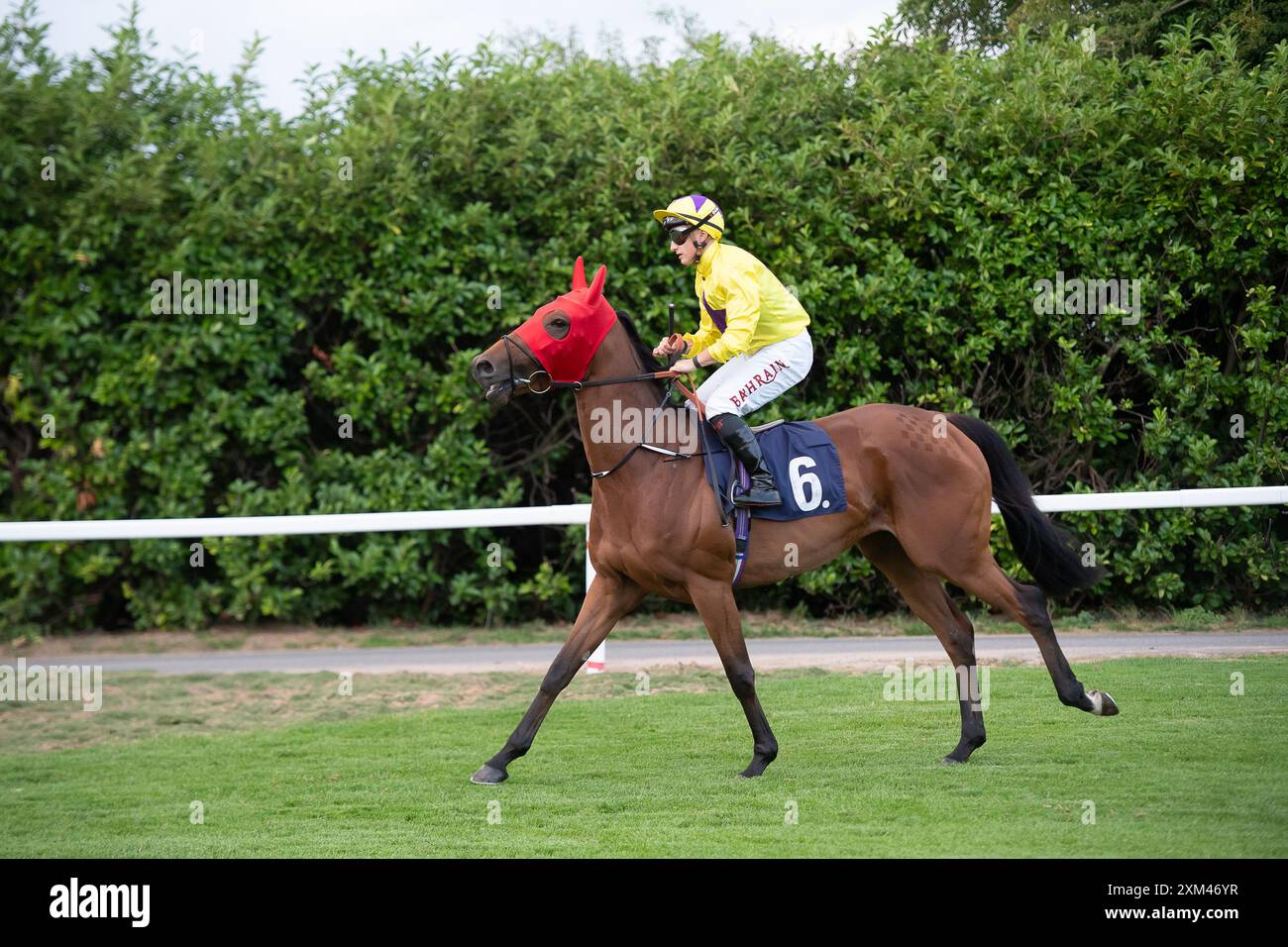 Windsor, Berkshire, Regno Unito. 22 luglio 2024. Horse Sea Regal, cavalcato dal fantino Tom Marquand, si dirige verso l'ippodromo per le scuderie britanniche Stallion EBF Fillies' handicap Stakes (classe 4) presso l'ippodromo Royal Windsor di Windsor, Berkshire. Proprietario e allevatore, Sunderland Holding Inc, allenatore William Haggas, Newmarket, Sponsor Somerville Lodge Ltd Crediti: Maureen McLean/Alamy Foto Stock