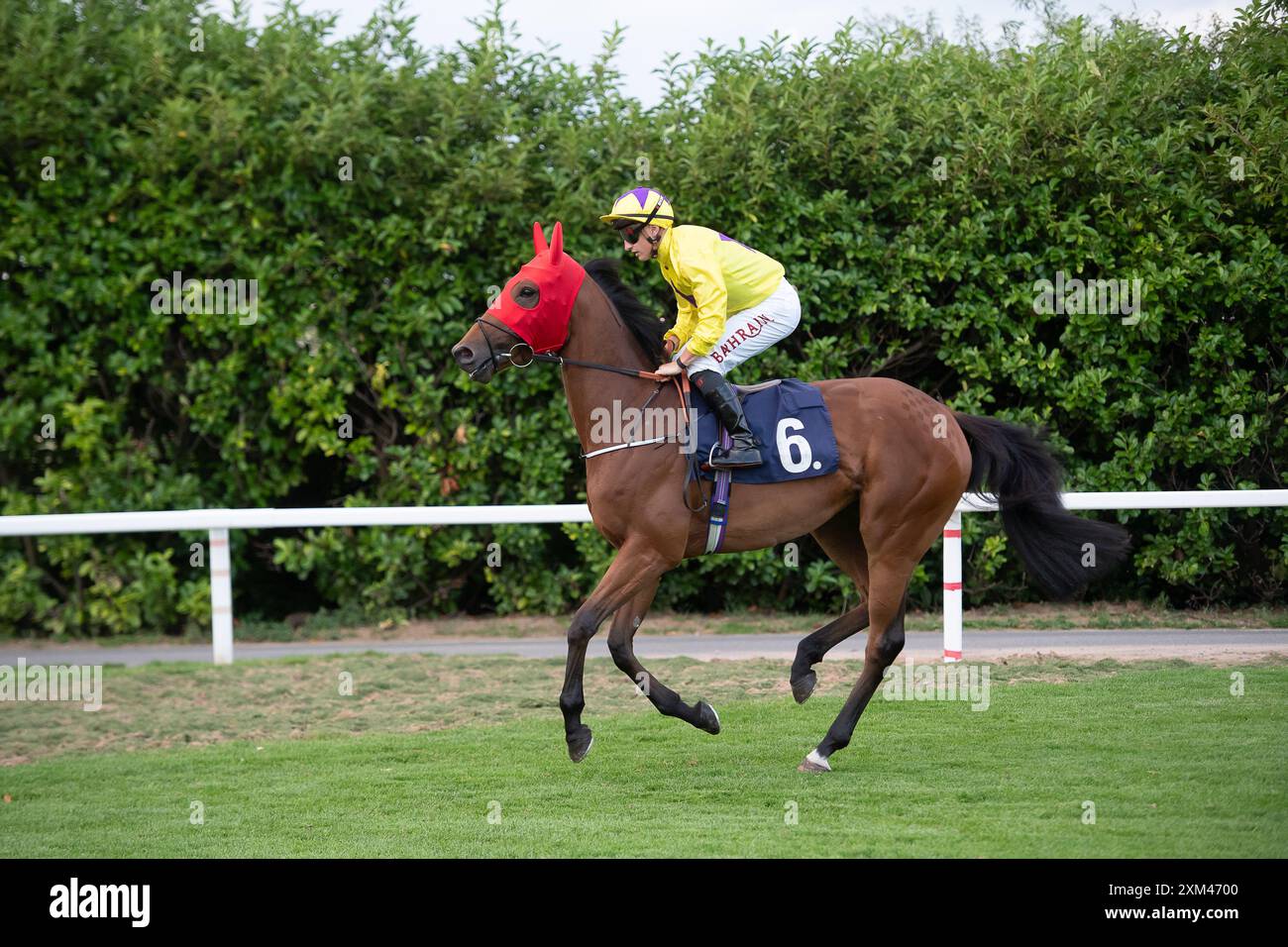 Windsor, Berkshire, Regno Unito. 22 luglio 2024. Horse Sea Regal, cavalcato dal fantino Tom Marquand, si dirige verso l'ippodromo per le scuderie britanniche Stallion EBF Fillies' handicap Stakes (classe 4) presso l'ippodromo Royal Windsor di Windsor, Berkshire. Proprietario e allevatore, Sunderland Holding Inc, allenatore William Haggas, Newmarket, Sponsor Somerville Lodge Ltd Crediti: Maureen McLean/Alamy Foto Stock